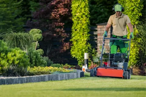 How to Choose the Perfect Gas Power Lawn Edger for Your Garden