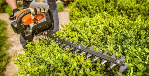 Hedge Trimmers Maintenance 101: Keep Your Tool Sharp and Safe