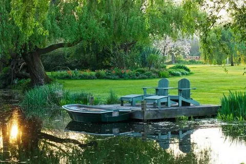 Premium Pond Maintenance Services for Surrey Gardens